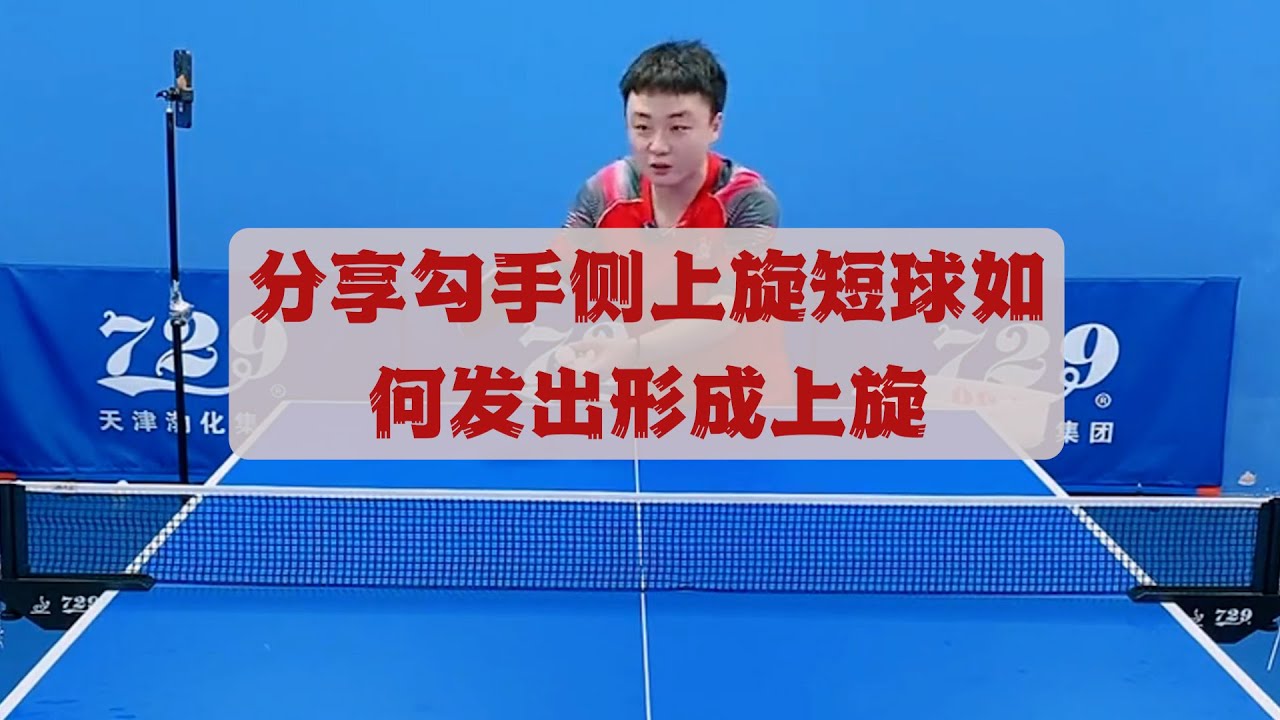 森林狼的整