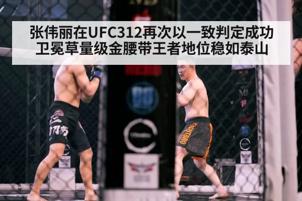 MMA cage fight