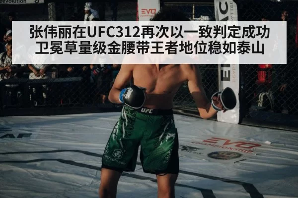 UFC championship belt